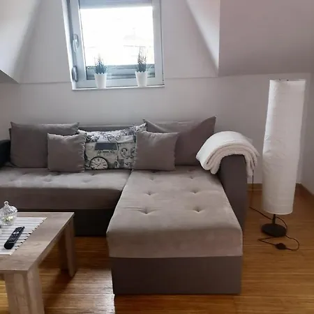Savic Apartment Vrnjacka Banja
