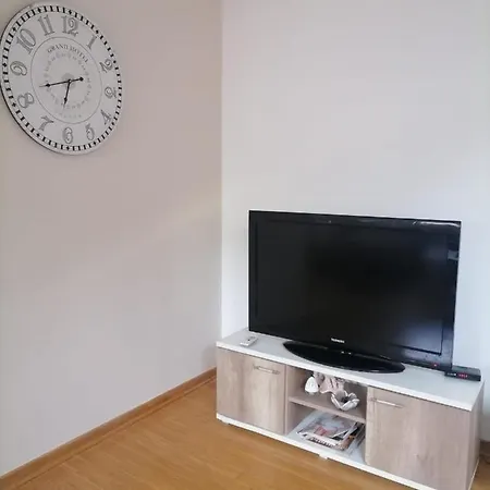 Apartment Savic
