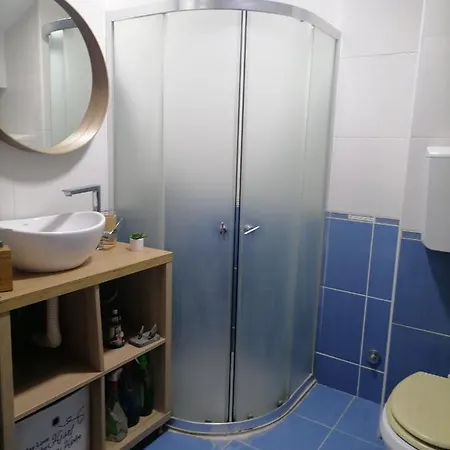 Apartment Savic Vrnjacka Banja