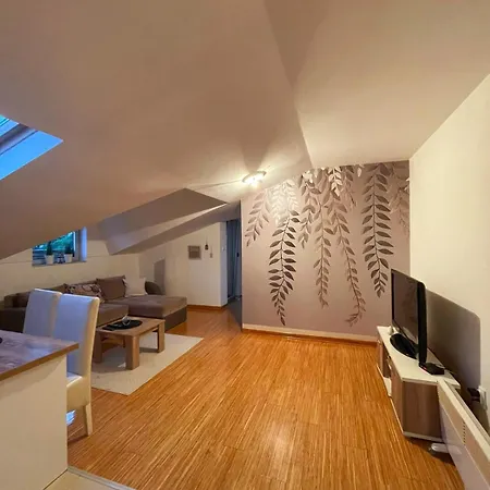 Savic Apartment *